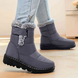 Gris